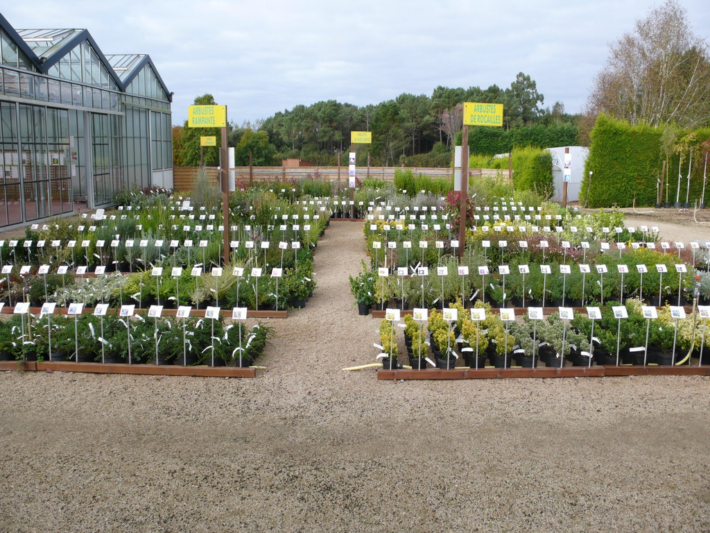 Exposition-vente après approvisionnement des plantes de septembre